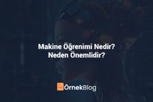 Makine Öğrenimi Nedir? Neden Önemlidir?